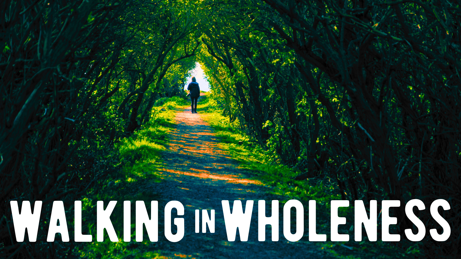 Walking In Wholeness